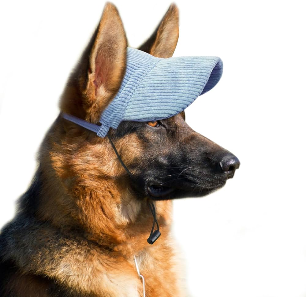 Dog baseball cap
