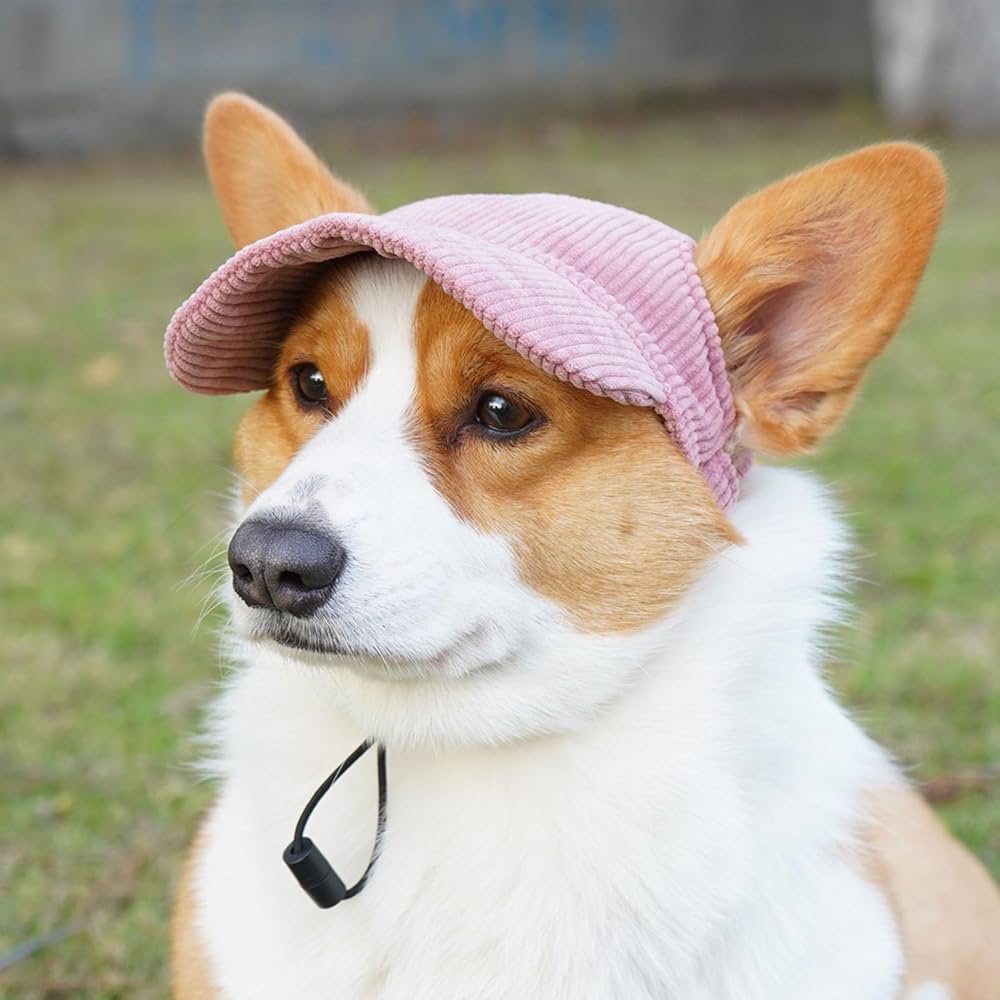 Dog baseball cap