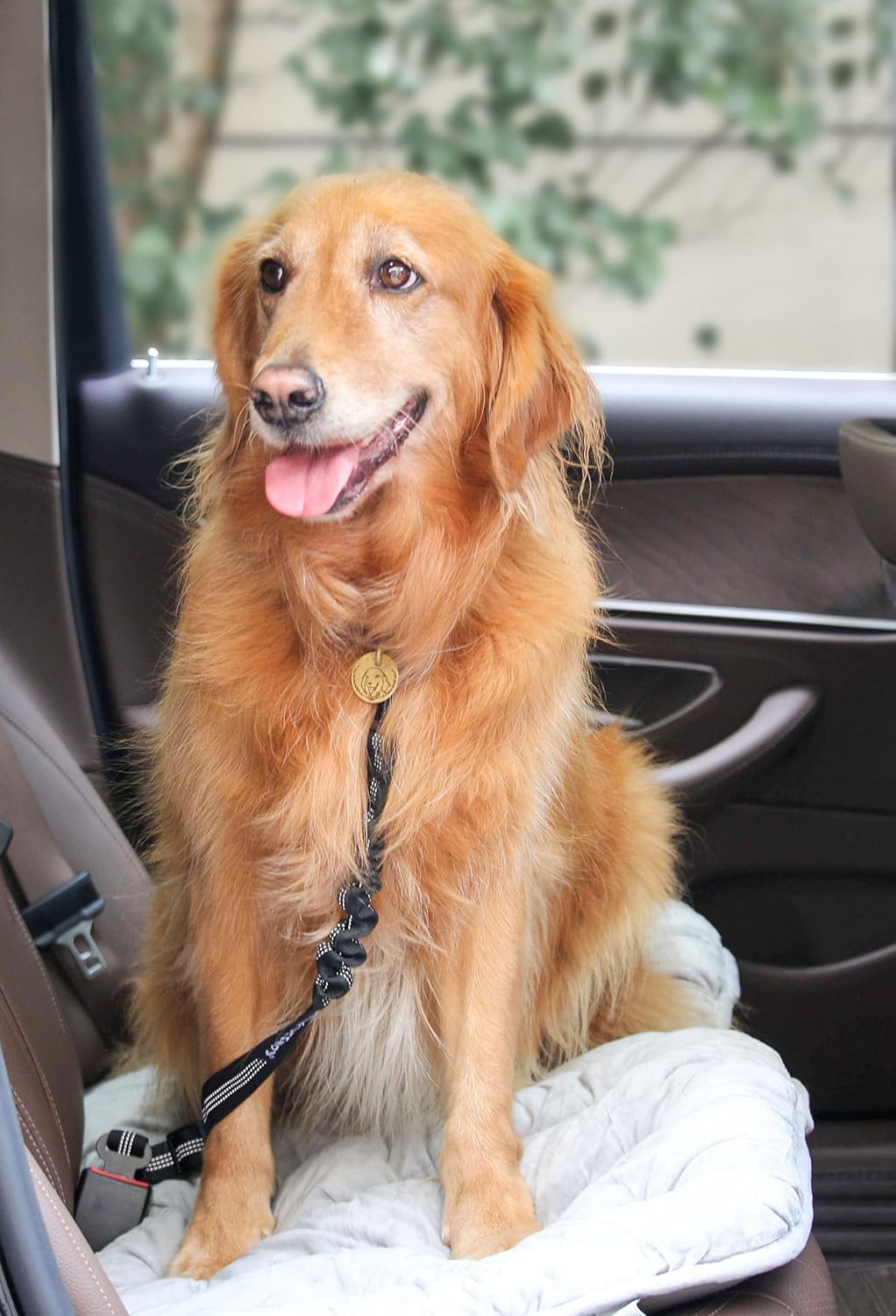 Dog Seatbelt